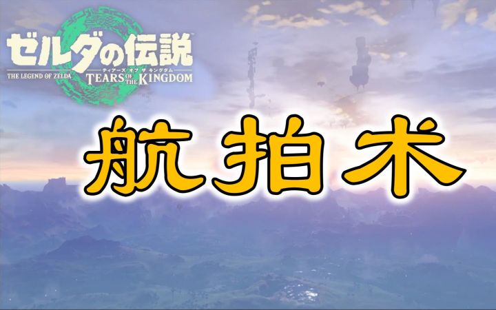 【塞尔达】航拍术超简单教程【王国之泪 | BreNeko | 转载】截图