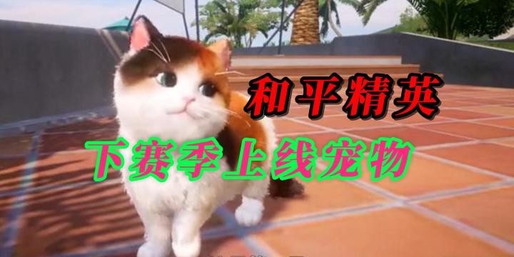 和平精英上线宠物截图