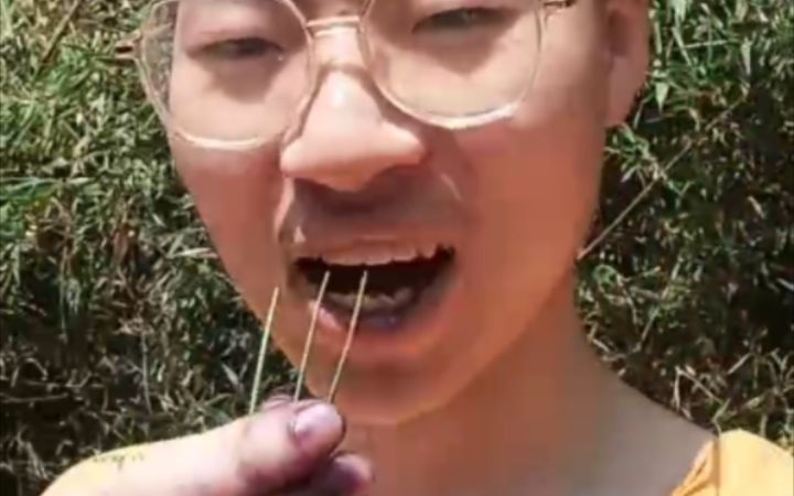 河南流氓土匪搜刮八里沟？偷杏150斤66个小视频！烧烤喝酒群魔乱舞桑葚游泳！！第一视角沉浸式体验主播的生活！！！截图