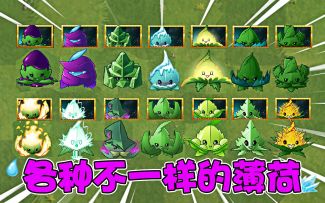 植物大战僵尸：各种不一样的薄荷，你都了解吗？
