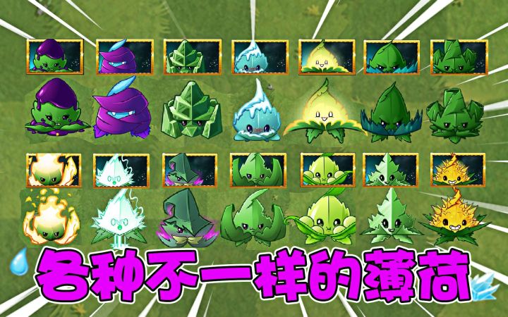 植物大战僵尸:各种不一样的薄荷,你都了解吗?截图