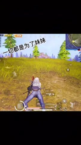 #和平精英 #吃鸡日常 #游戏精彩时刻 为了妹妹我真是不惜代价啊!截图