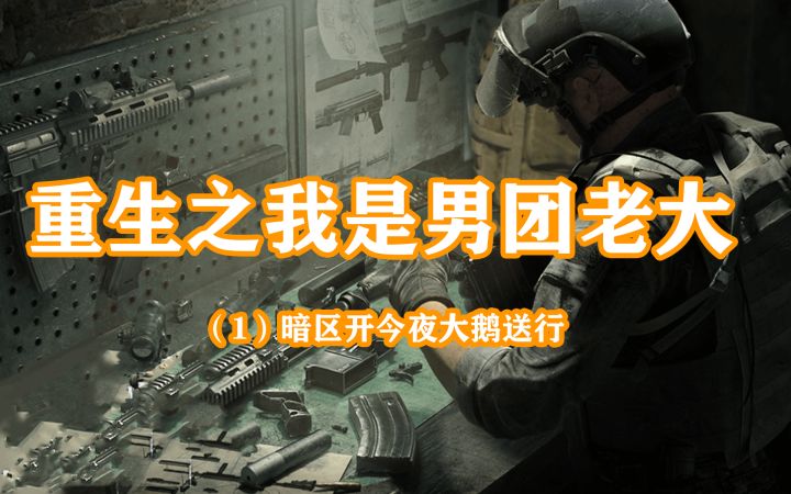 重生在暗区突围当男团,阿贾克斯给我敬礼截图