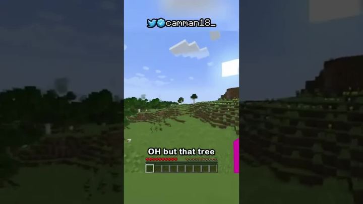 我加入了一个随机的minecraft王国截图