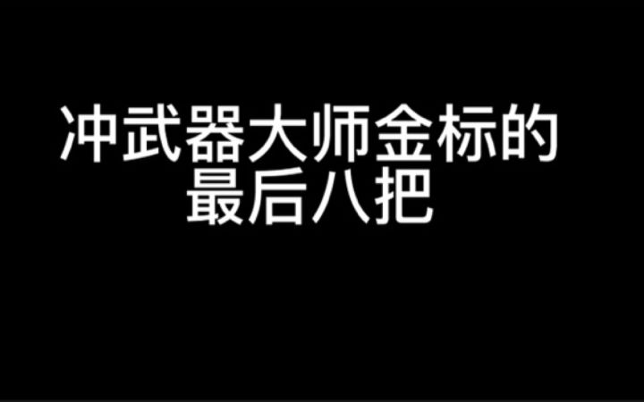 冲武器大师金标的最后八把截图