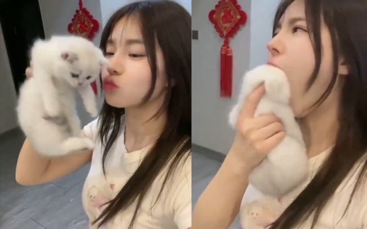 “妹子,猫不是这么吃的!”截图