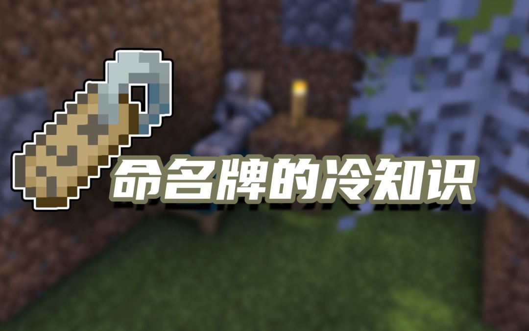 我的世界冷知识：除了四个彩蛋，其他知识点你们都了解吗？截图