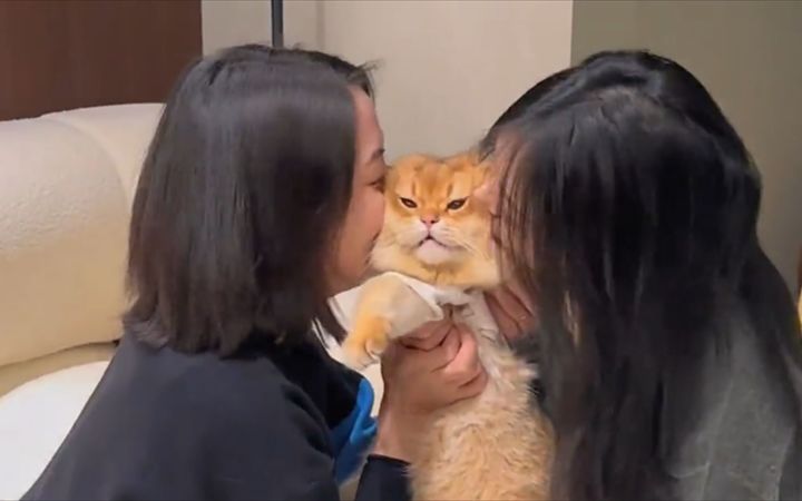 猫:不努力就会成为女人们的玩物截图