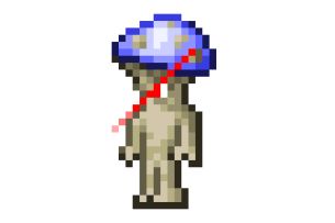 如何正确的使松露人入住