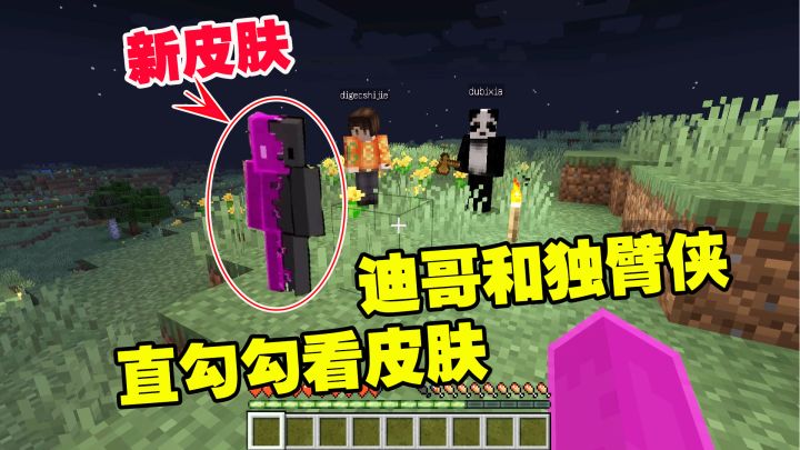 我的世界1.19联机1:新地图,新皮肤!迪哥和独臂侠直勾勾看皮肤截图