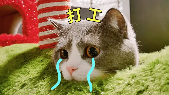 点点日记截图