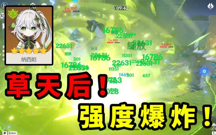 草天后 登位！妮露绽放 强度爆炸！平民0命草神 实测！截图