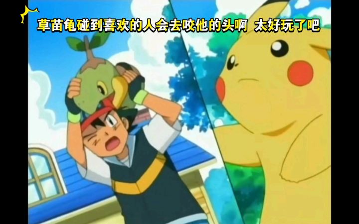 精灵宝可梦 草苗龟碰到喜欢的人会去咬他的头啊 太好玩了吧截图