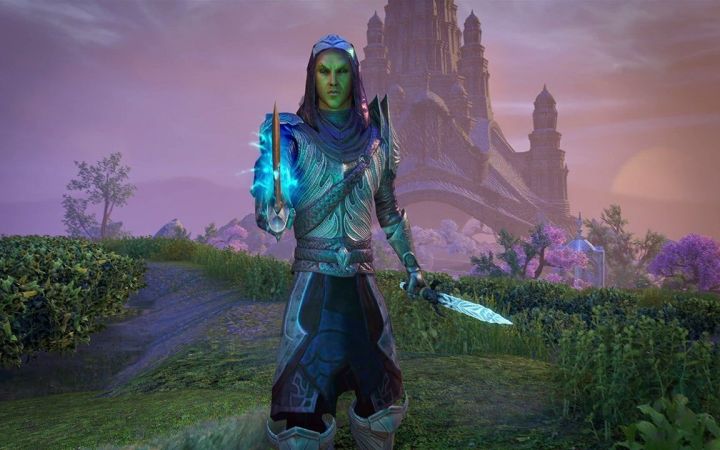 【IGN】《上古卷轴Online》游戏概览宣传视频截图