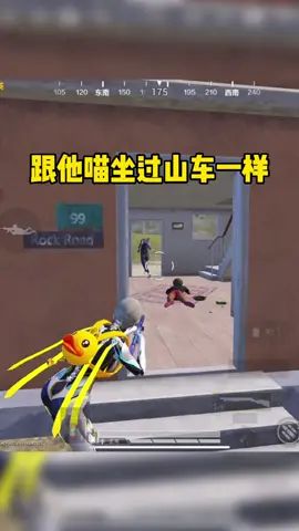 video-2132663