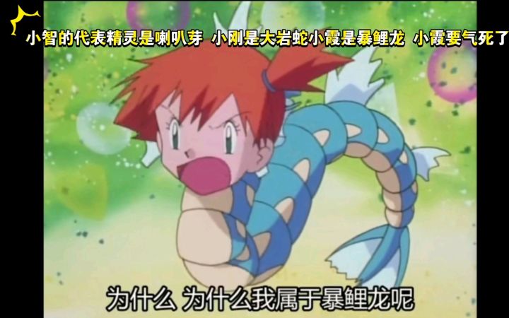 精灵宝可梦 宝可梦占卜小智的代表精灵是喇叭芽 小刚是大岩蛇小霞是暴鲤龙 小霞要气死了截图