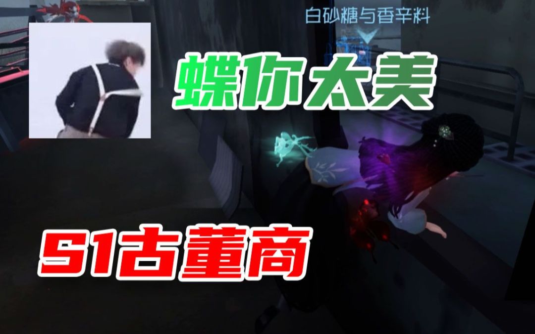 video-3040493