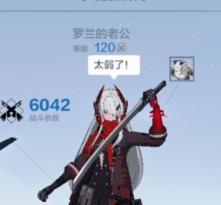 加百列双通水截图