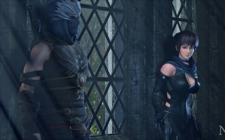 《生化危机4重制版》X《死或生》MOD 阿龙你终于不躺平了截图