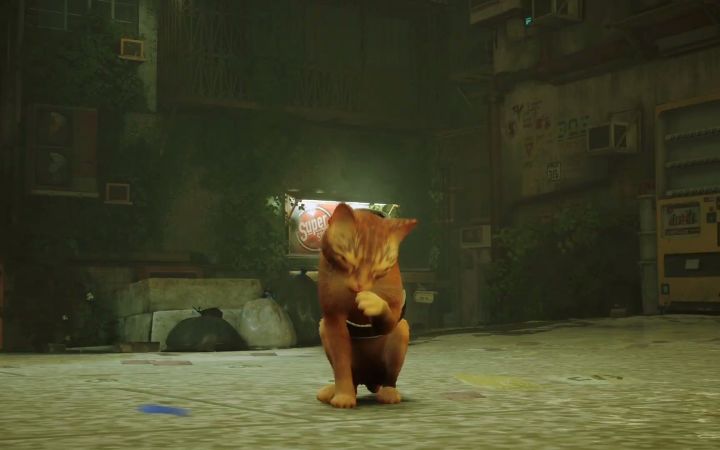 第三人称猫冒险游戏《Stray》公布新预告 7月19日发售截图
