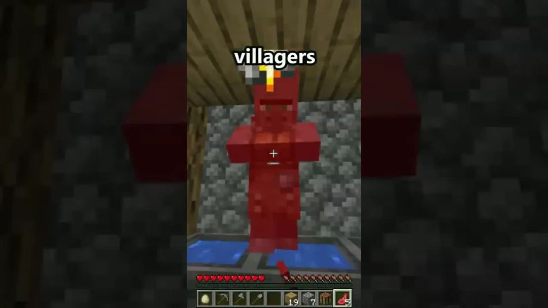 video-2988775