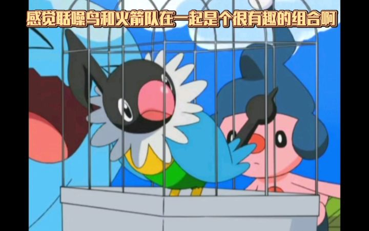 精灵宝可梦 感觉聒噪鸟和火箭队在一起是个很有趣的组合啊截图