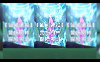 【仙闻速报】之斐扬树林探险实录