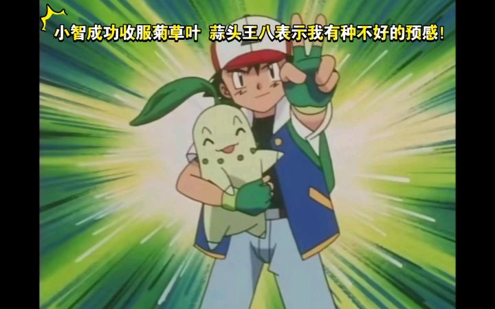 精灵宝可梦 小智成功收服菊草叶 蒜头王八表示我有种不好的预感!截图
