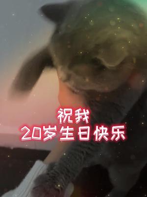 20岁生日啦~新的一年,希望大家和我都会越来越好!!#北慕 #我家傻猫截图