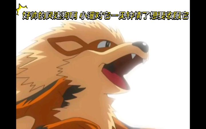精灵宝可梦 好帅的风速狗啊 小遥对它一见钟情了想要收服它截图