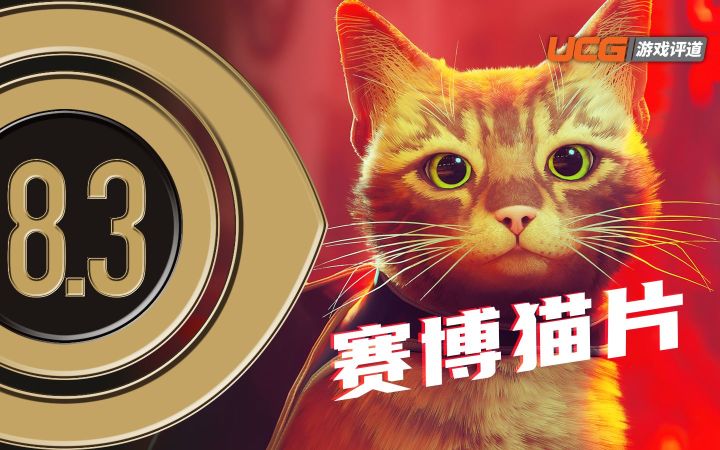 《Stray(迷失)》评测:今年最佳猫咪游戏!截图