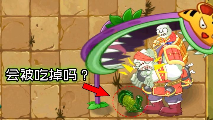 pvz2流言终结者 我方火鸡竟会食脑?截图
