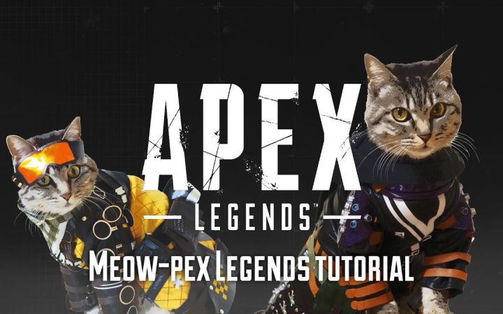 【IGN】《Apex英雄》「猫之日」宣传视频截图