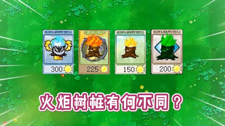 植物大战僵尸：同样是魔改火炬树桩，差距到底有多大？截图