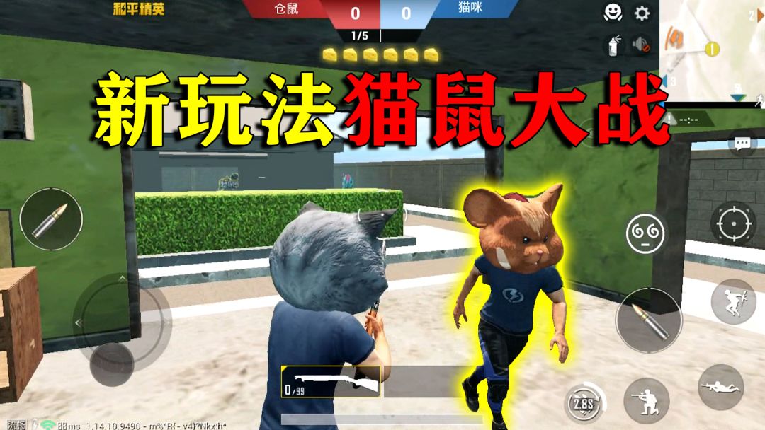 video-2214242