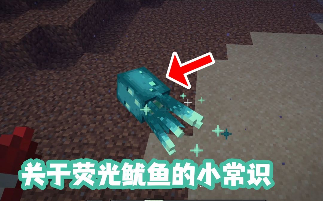 我的世界关于荧光鱿鱼你要知道的几个小常识截图