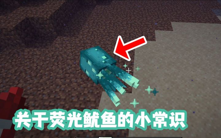 我的世界关于荧光鱿鱼你要知道的几个小常识截图