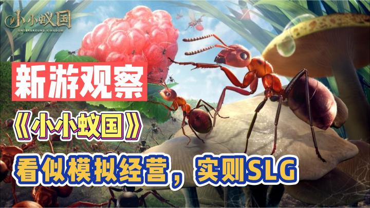 《小小蚁国》——看似模拟经营,实则SLG的手游截图