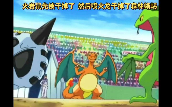 精灵宝可梦 火岩鼠先被干掉了 然后喷火龙干掉了森林蜥蜴截图