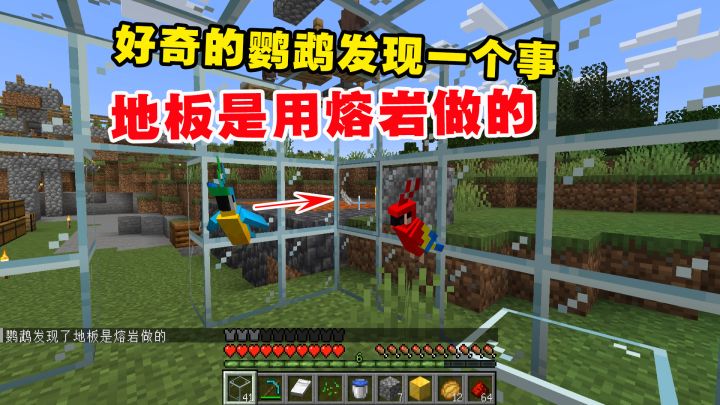 我的世界凋零风暴9:好奇的鹦鹉发现一个事!地板是用熔岩做的截图