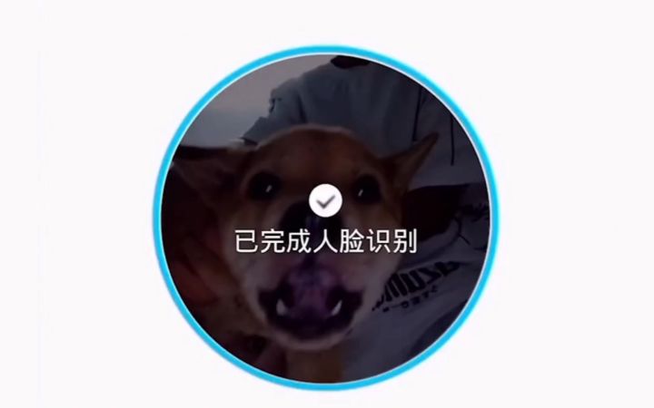 当代精神小狗截图