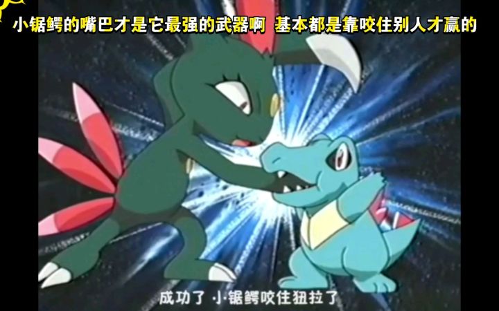 精灵宝可梦 小智对战叶越 小锯鳄VS狃拉 小锯鳄的嘴巴才是它最强的武器啊 基本都是靠咬住别人才赢的截图