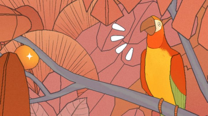 ⚡两只鹦鹉🦜⚡~爱跳舞~💃🏻截图