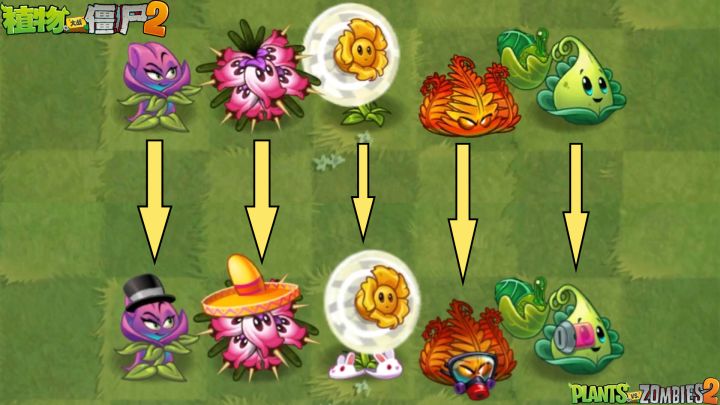 植物大战僵尸:最新的5个移植植物,是加强还是削弱了?截图