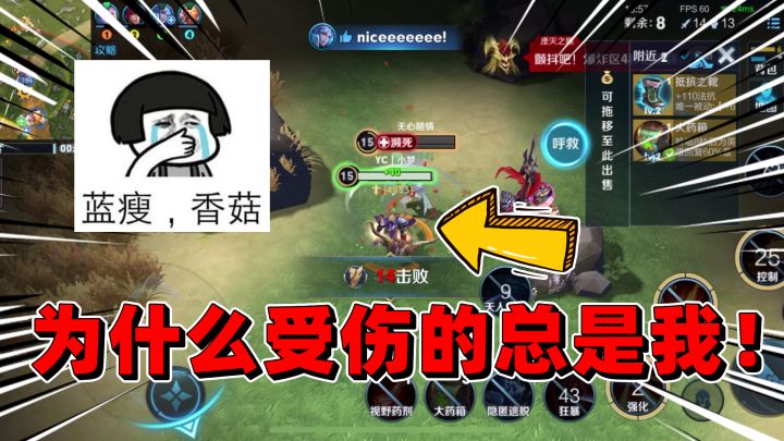 小梦用后羿的新皮肤带粉五排,结果最后却被粉丝带飞!截图