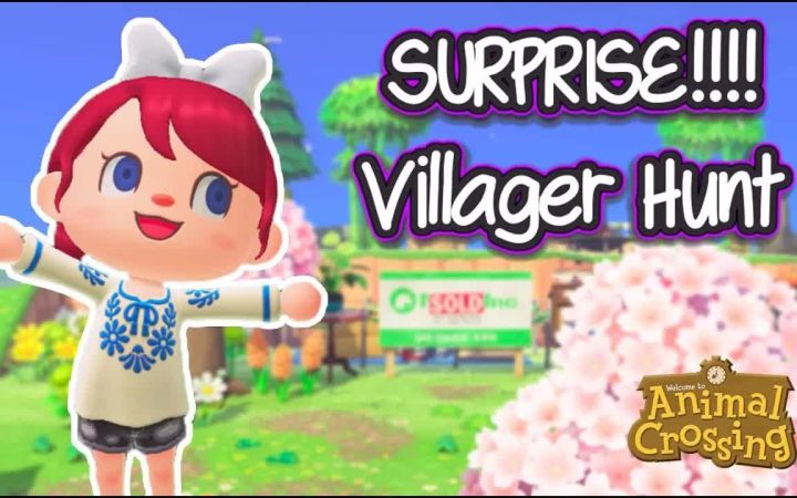 【搬运】动森实况 找新居民 SURPRISE!!! Villager Hunt Time! by lilpufferfish截图