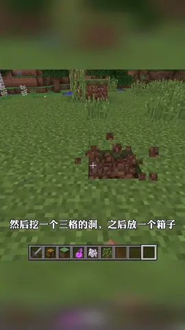 我的世界老玩家才知道的冷知识#与我合拍 #我的世界截图