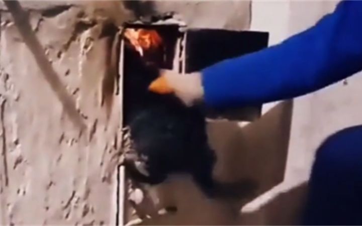 终于明白什么叫做好奇心害死猫截图