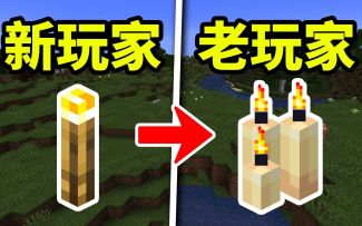 我的世界：5个简单易学的，建筑技巧！