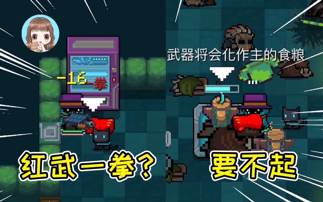 video-2088666